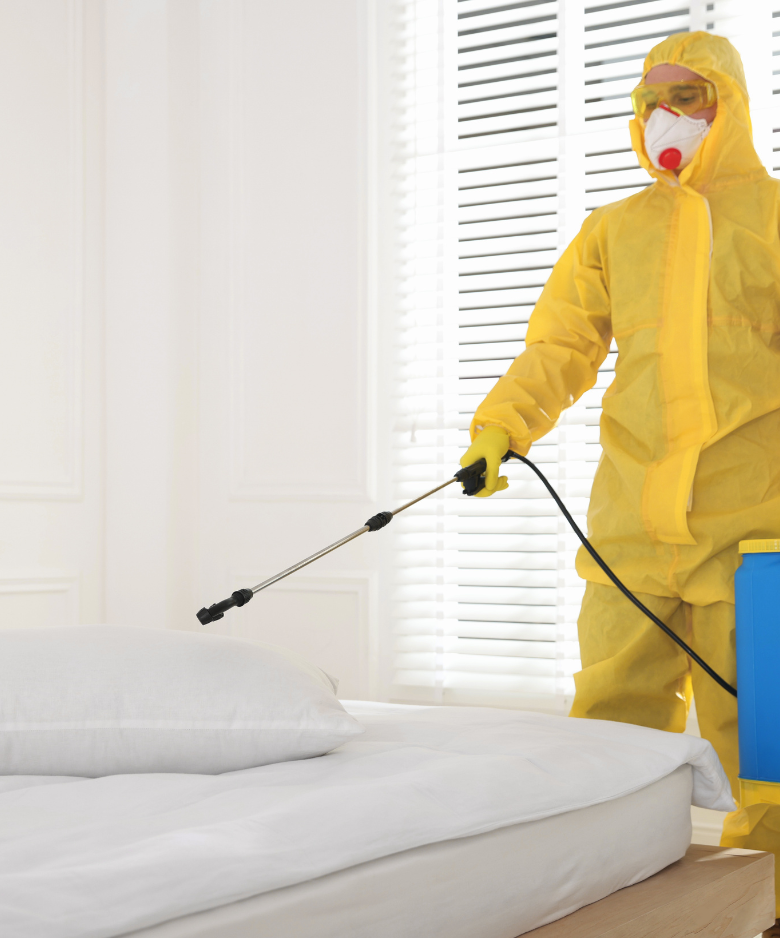 Professional Pest Control Team in Woodville